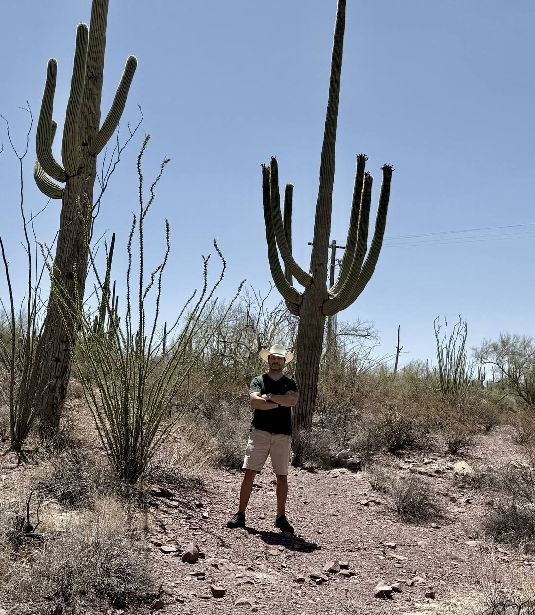 Sonoran Desert, Arizona